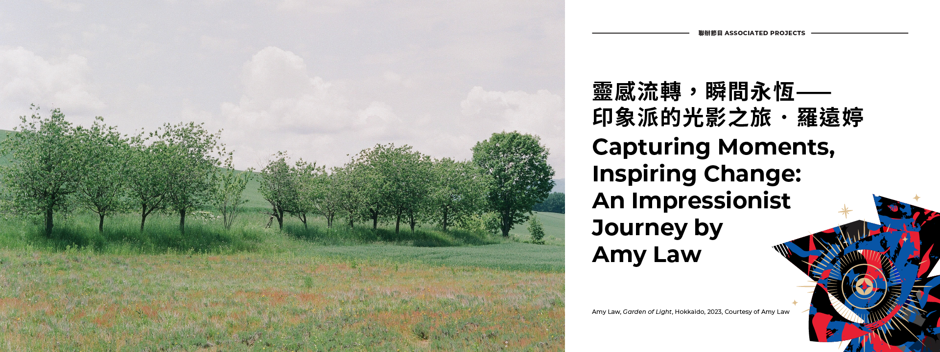 Capturing Moments, Inspiring Change: An Impressionist Journey by Amy Law
